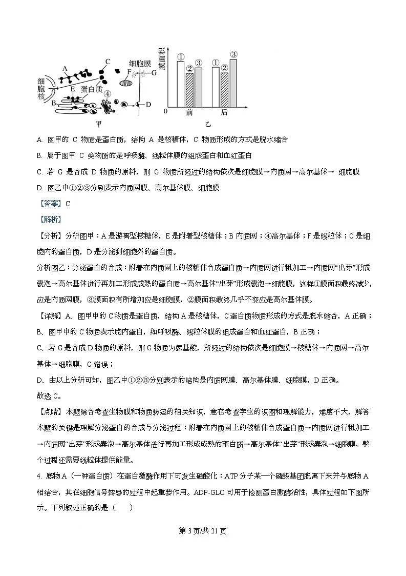 湖北省随州市六校2026届高三一模生物试题 Word版含解析第3页