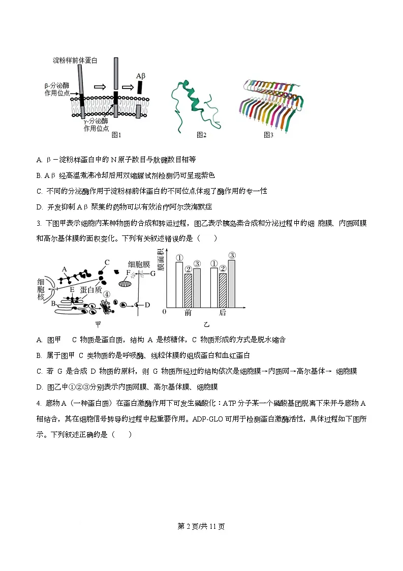 湖北省随州市六校2026届高三一模生物试题(原卷版)第2页