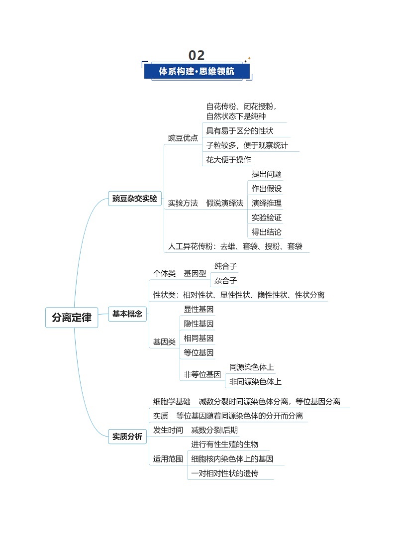 高考生物二轮-分离定律(复习讲义)(全国通用)(解析版)第3页
