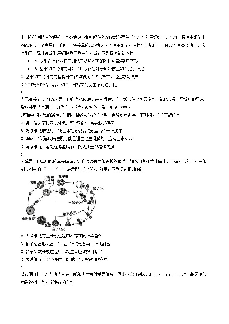 安徽省安庆市2026届高三二模生物试题(文字版,含答案)第2页