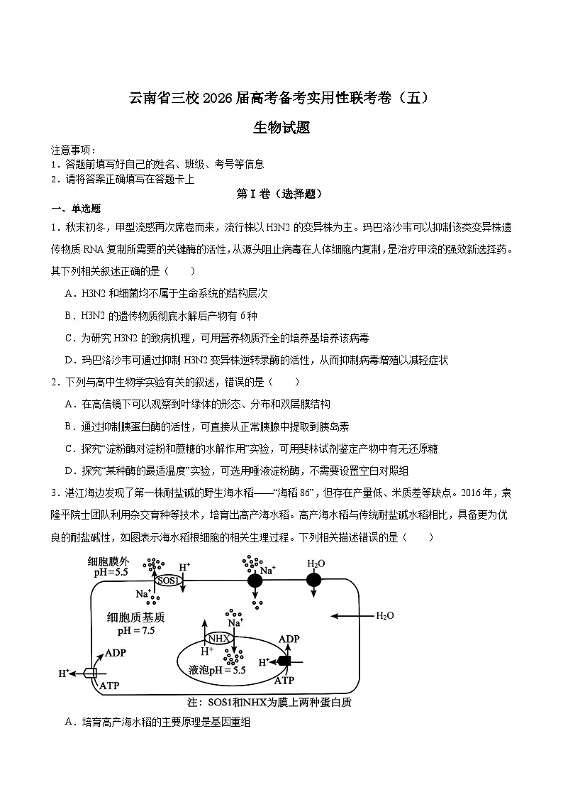 2026云南省三校高三上学期高考备考实用性联考卷(五)生物含答案第1页