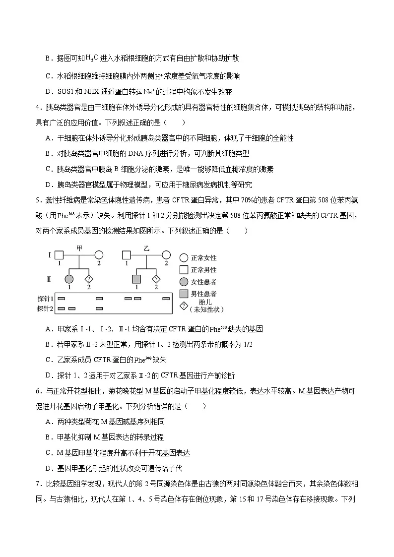 2026云南省三校高三上学期高考备考实用性联考卷(五)生物含答案第2页