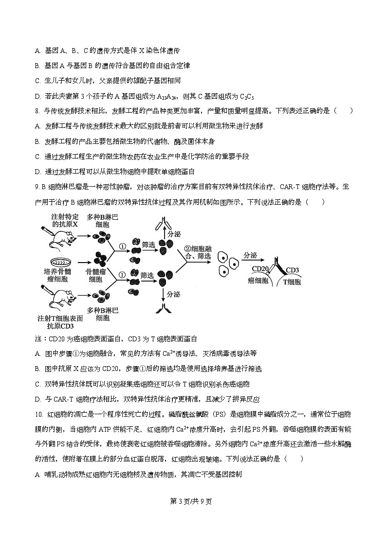 四川省攀枝花市第三高级中学2026届高三下学期第3次调研监测生物学试卷(原卷版)第3页