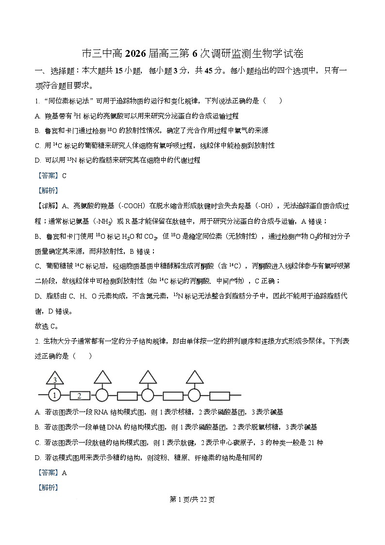 四川省攀枝花市第三高级中学2026届高三下学期第6次调研监测生物学试卷 Word版含解析第1页