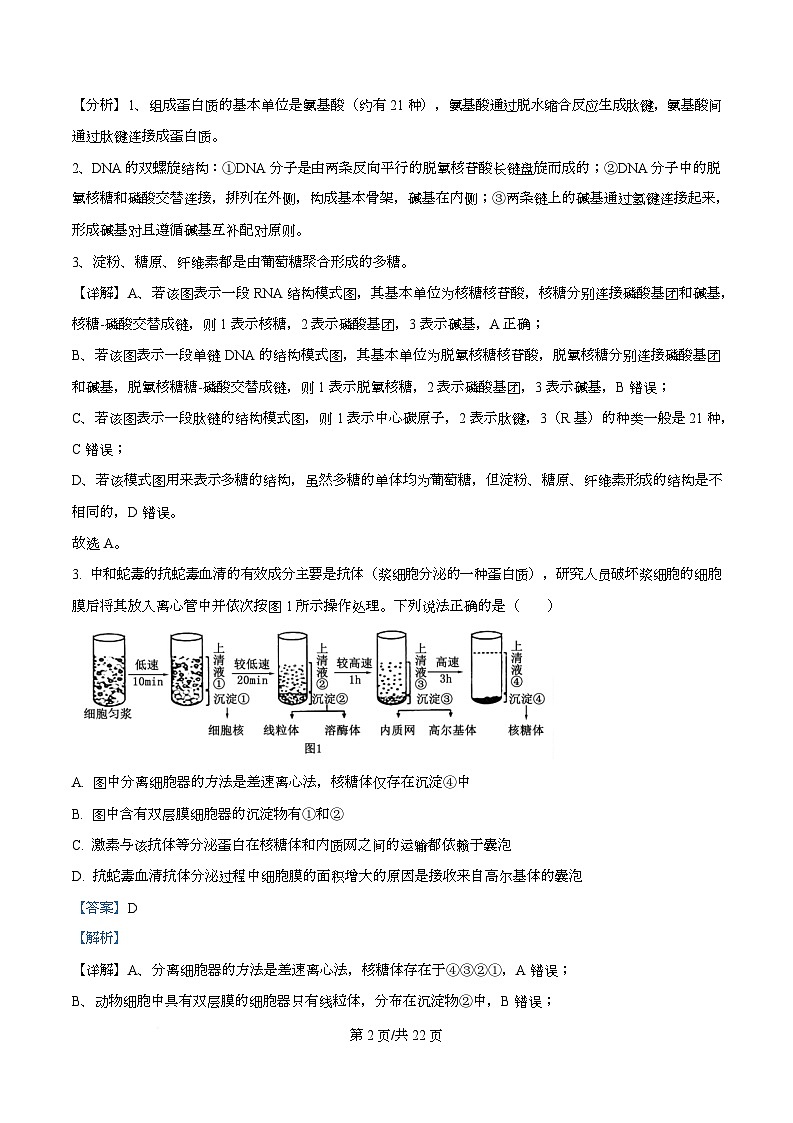 四川省攀枝花市第三高级中学2026届高三下学期第6次调研监测生物学试卷 Word版含解析第2页