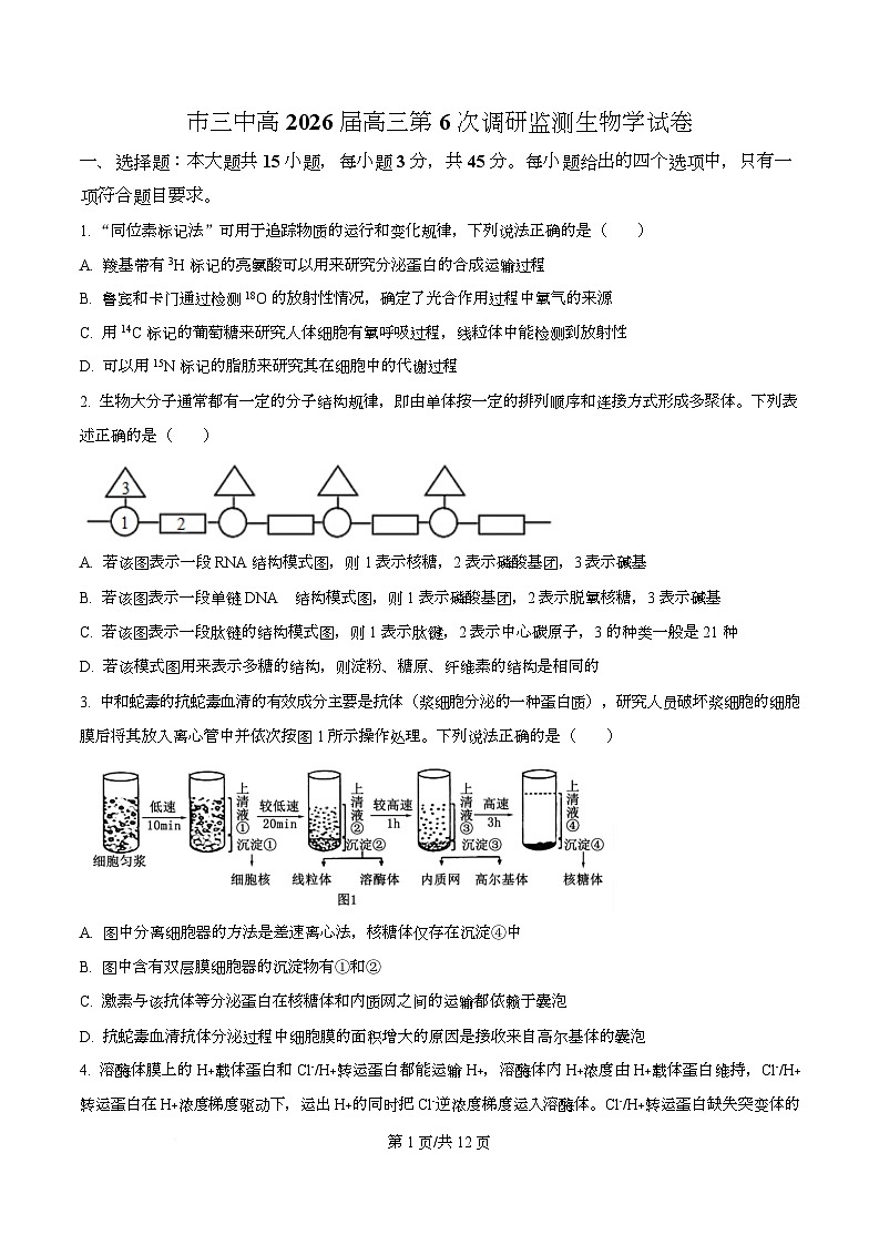 四川省攀枝花市第三高级中学2026届高三下学期第6次调研监测生物学试卷(原卷版)第1页