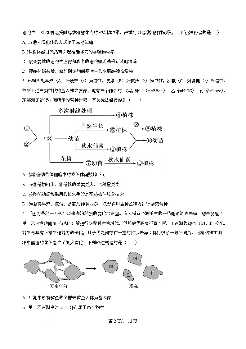 四川省攀枝花市第三高级中学2026届高三下学期第6次调研监测生物学试卷(原卷版)第2页