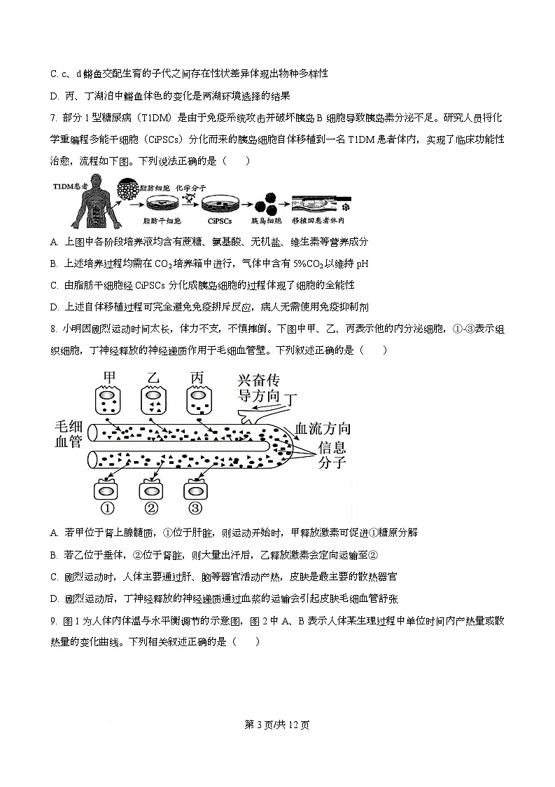 四川省攀枝花市第三高级中学2026届高三下学期第6次调研监测生物学试卷(原卷版)第3页