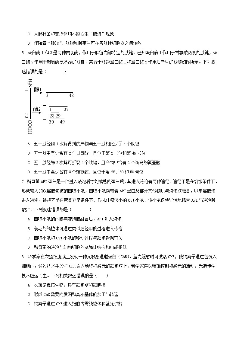 山东省青岛市2025_2026学年高一生物上学期12月月考试题第2页