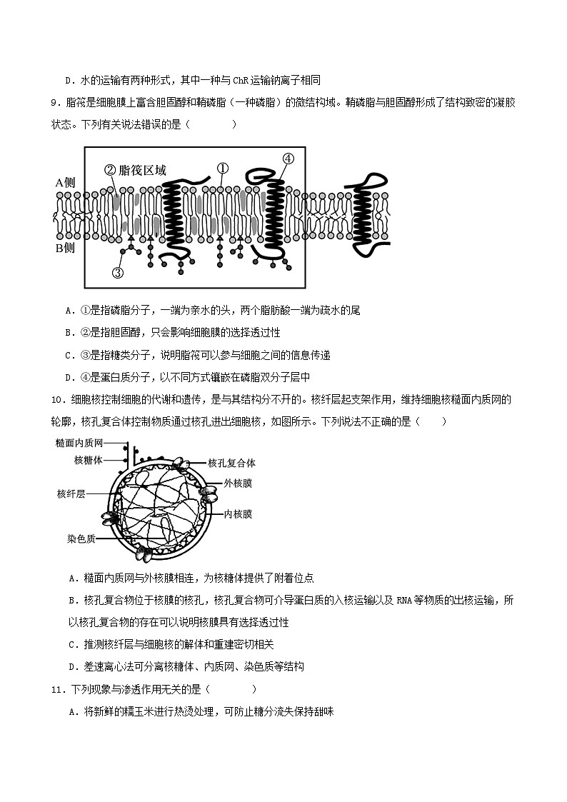 山东省青岛市2025_2026学年高一生物上学期12月月考试题第3页