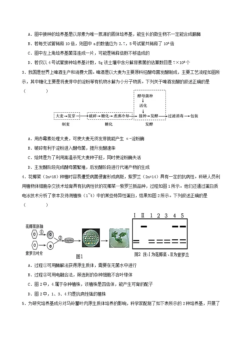 吉林省通化市梅河口市第五中学2023-2024学年高二下学期6月月考生物试卷(含答案)第2页