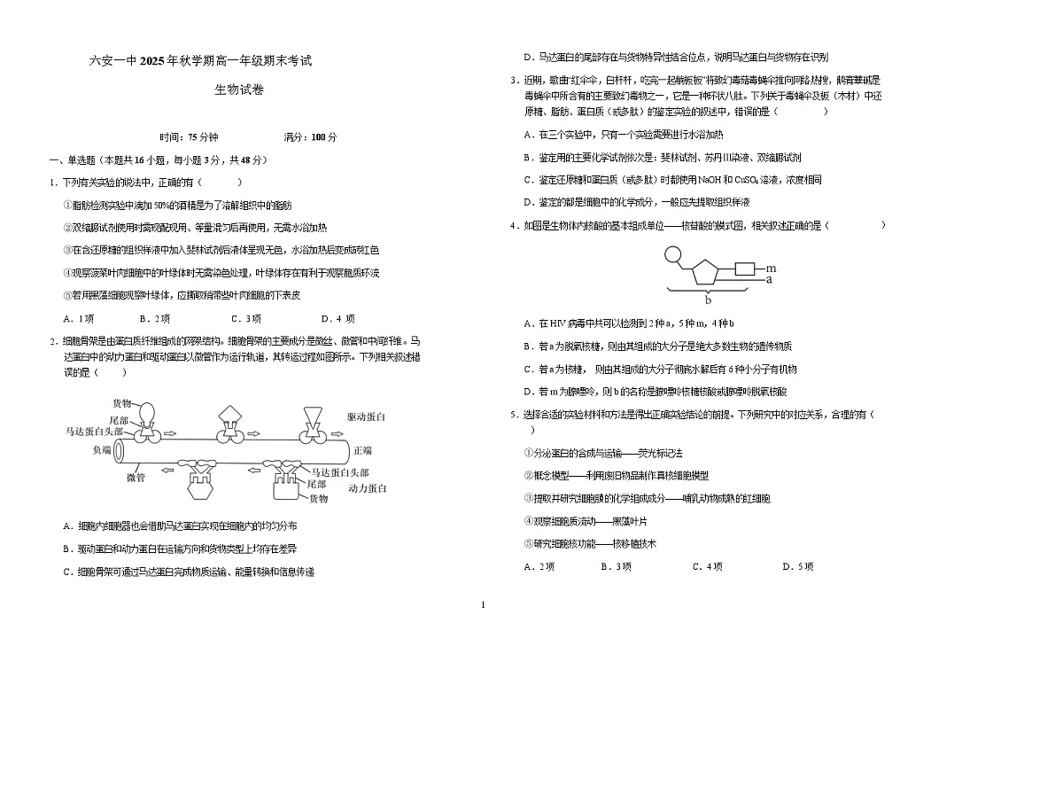 安徽省六安第一中学2025-2026学年高一上学期期末考试生物试卷(Word版附解析)第1页