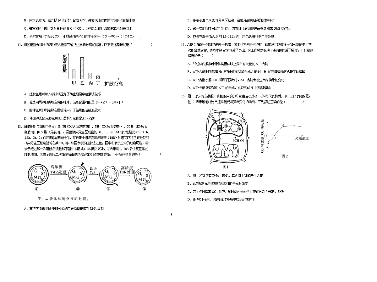 安徽省六安第一中学2025-2026学年高一上学期期末考试生物试卷(Word版附解析)第3页