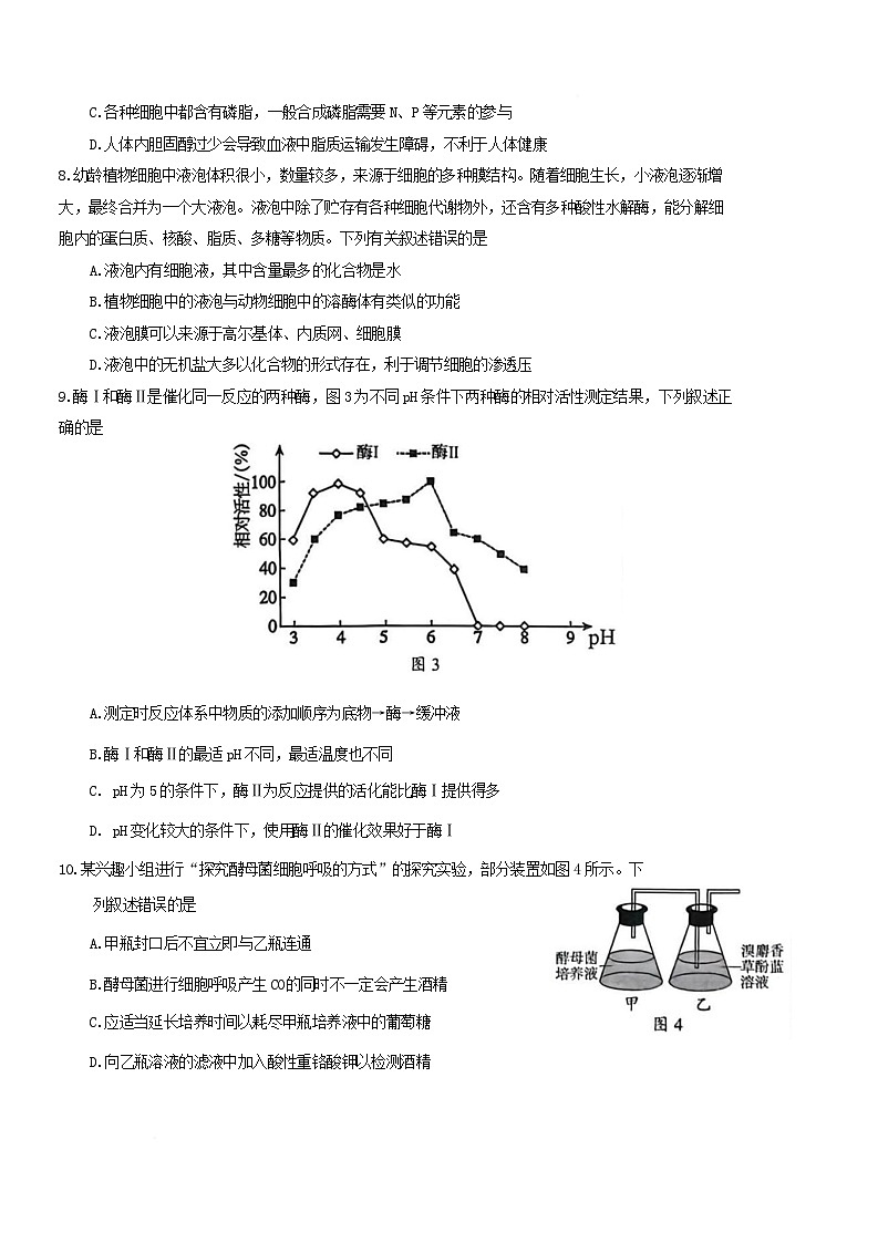 广东省梅州市2025-2026学年高一上学期期末考试生物试卷(Word版附答案)第3页