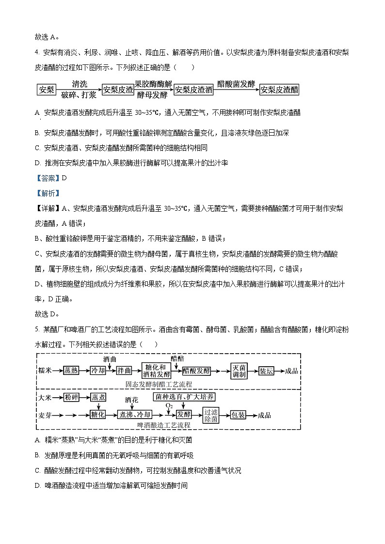 湖北省襄阳市第四中学2025-2026学年高二下学期3月月考生物试题 Word版含解析第3页