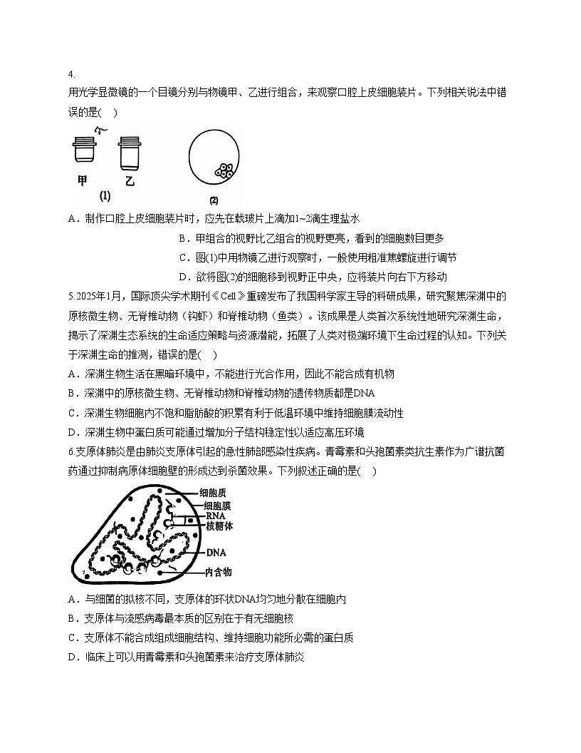 山东省实验中学2025~2026学年第一学期期中高一生物学试题(文字版,含答案)第2页