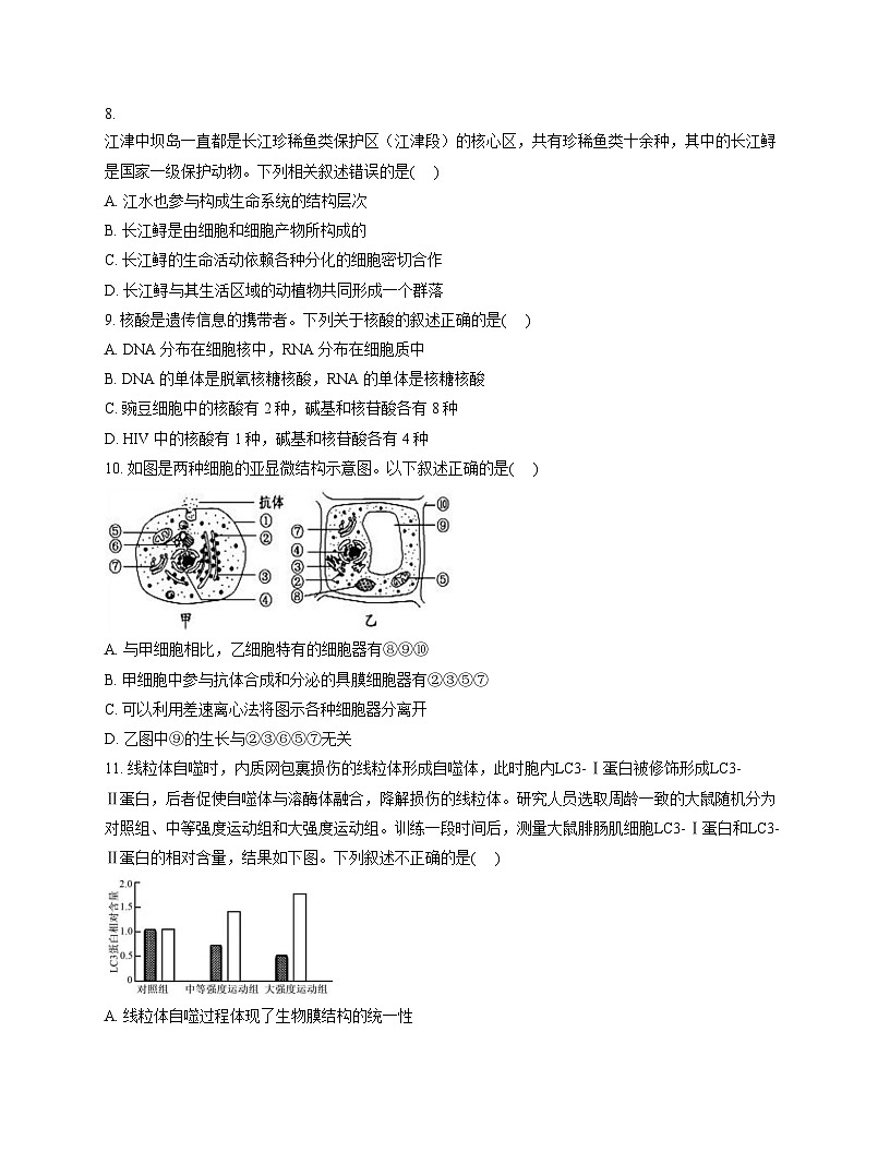 青海省西宁市二中教育集团2025_2026学年高一上学期期中考试生物试卷(扫描版,含答案)第3页