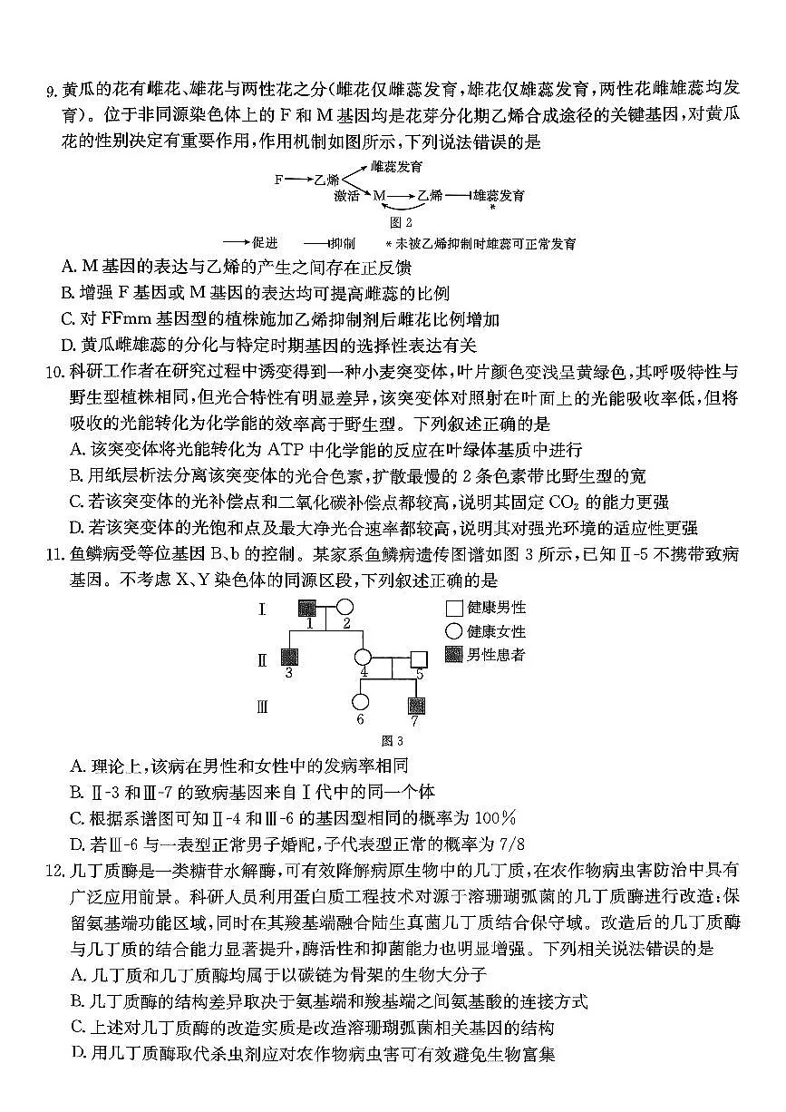广西南宁2025-2026学年下学期高三高考二模生物试卷含答案第3页