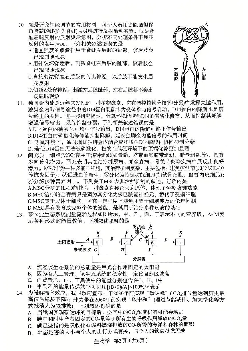 2026宝鸡高考模拟检测试题(二)(1)第3页