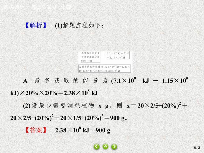 2020年人教版生物高考总复习课件：第九单元 热点题型十四 能量流动相关计算07