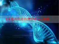 2.2 DNA、RNA 课件