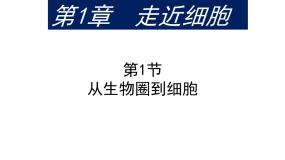 人教版 (新课标)第1节 从生物圈到细胞图文ppt课件