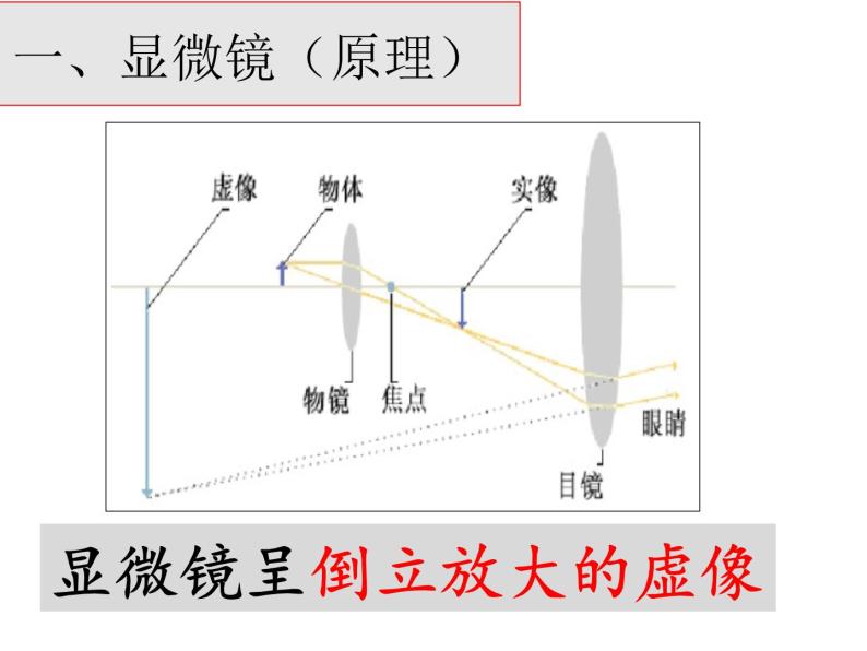 1.2，生物的多样性与统一性 课件03