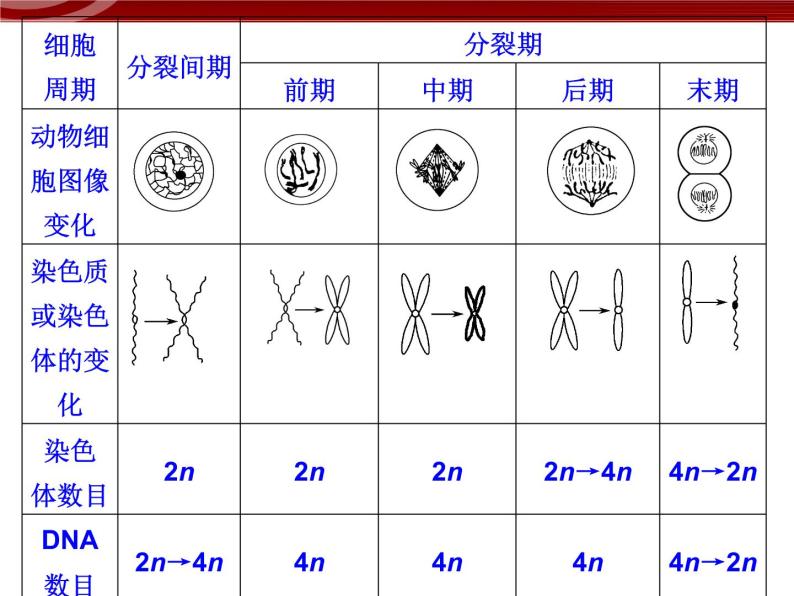 衡水高中用 人教版新课标 必修一 第六章 章节综合与测试 课件03