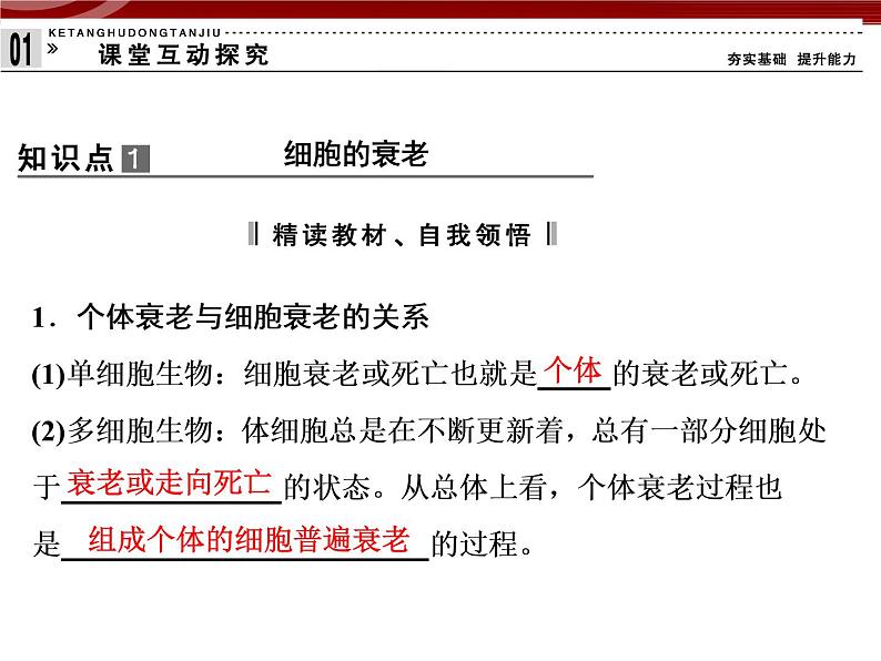 衡水高中用 人教版新课标 必修一 6-3 细胞的衰老和死亡 课件04