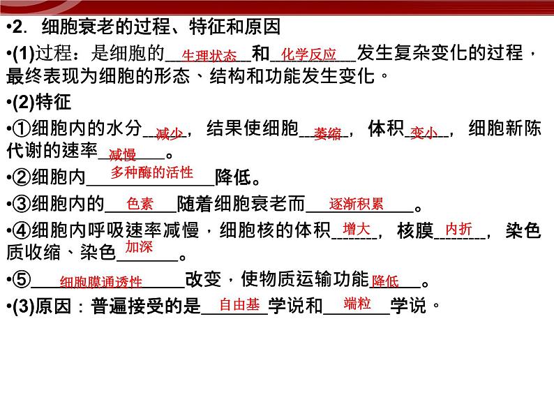 衡水高中用 人教版新课标 必修一 6-3 细胞的衰老和死亡 课件05