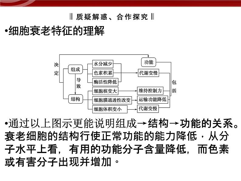 衡水高中用 人教版新课标 必修一 6-3 细胞的衰老和死亡 课件07