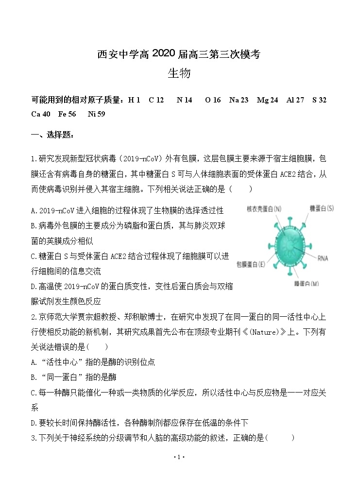 陕西省西安中学2020届高三第三次模拟考试 生物01