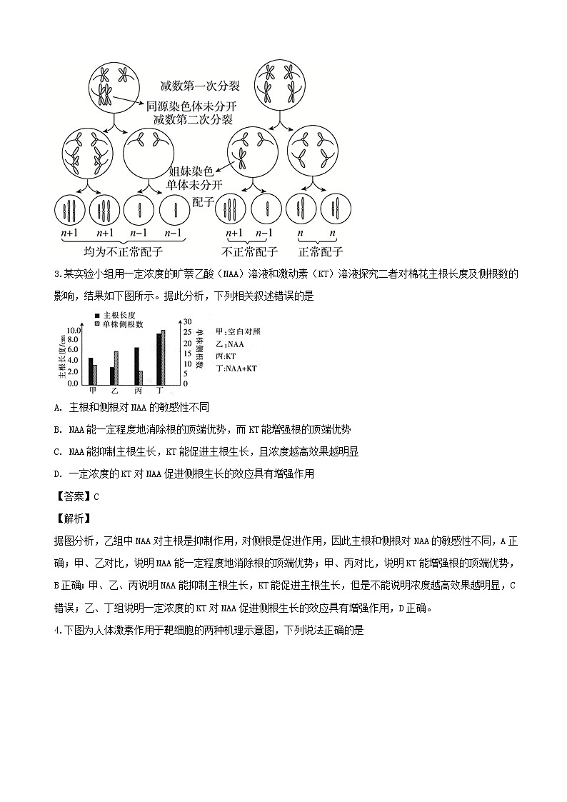 2019届河南省开封市高三上学期模拟考试卷生物(解析版)02