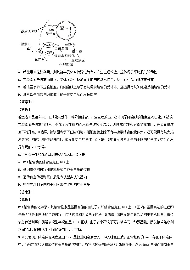 2019届河南省开封市高三上学期模拟考试卷生物(解析版)03