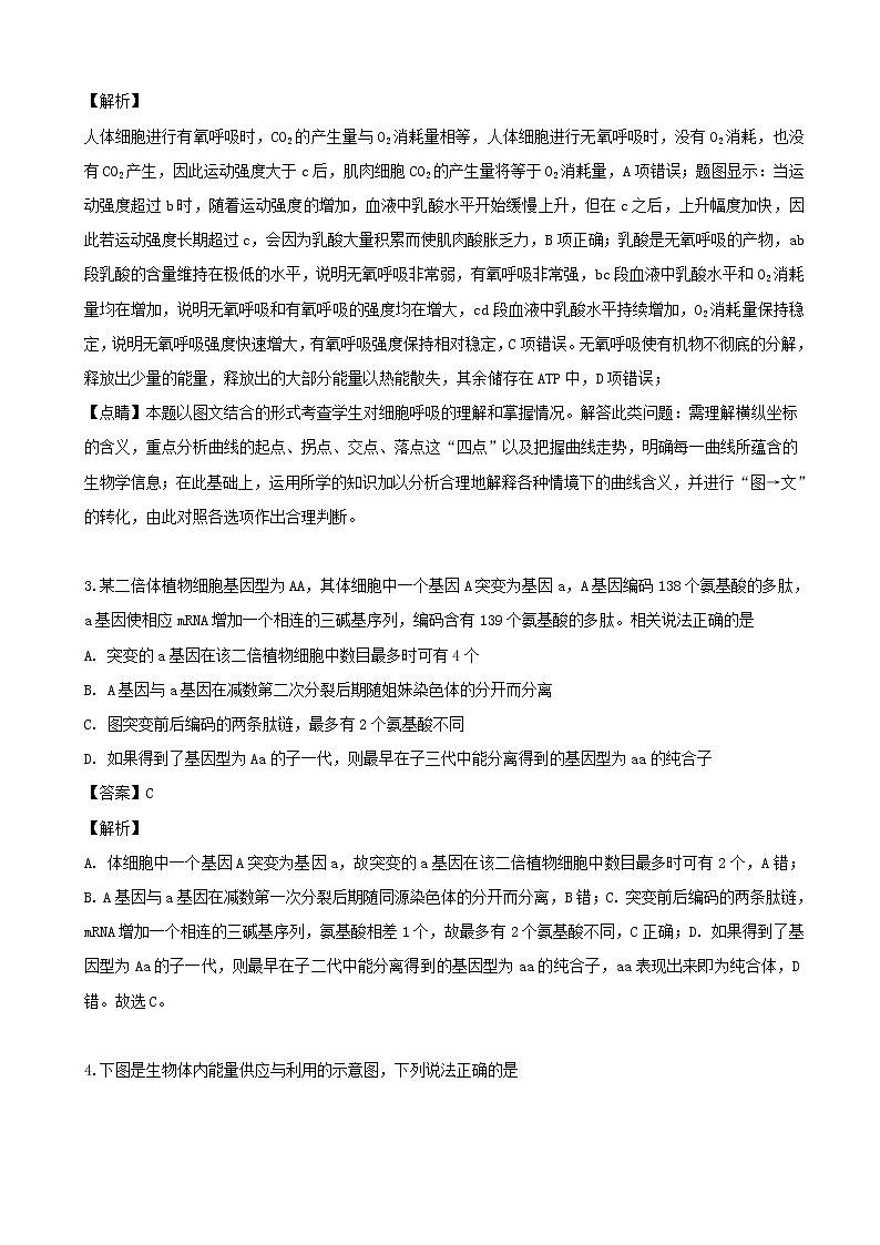 2019届安徽省肥东县高级中学高三5月模拟考试试生物试题(解析版)02