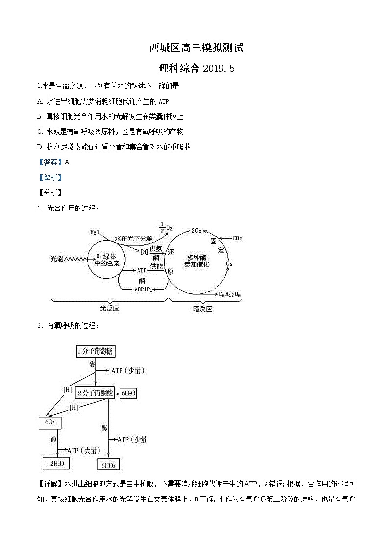 2019届北京市西城区高三二模生物试卷(解析版)第1页