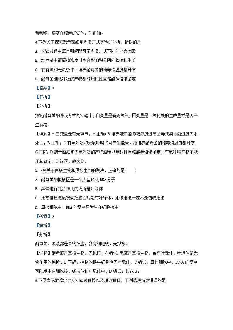 內(nèi)蒙古自治區(qū)赤峰市二中2020屆高三上學(xué)期第三次月考生物試題第3頁(yè)