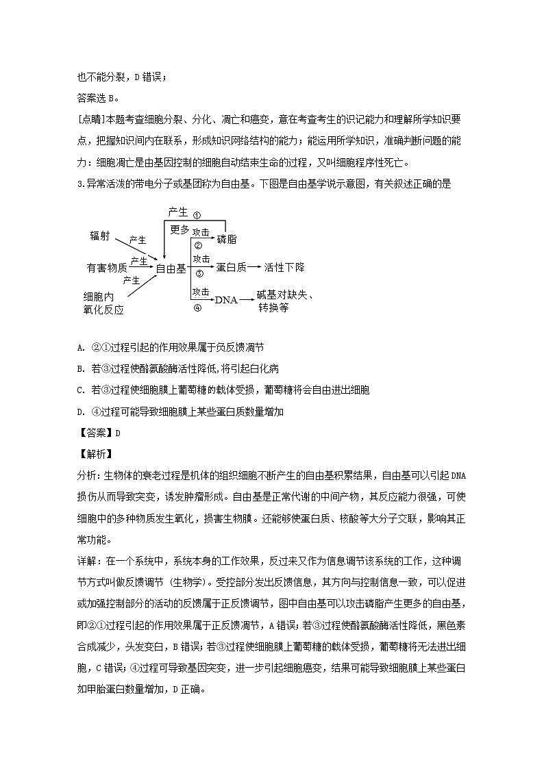 四川省成都外国语学校2020届高三(12月)月考理综生物试题02