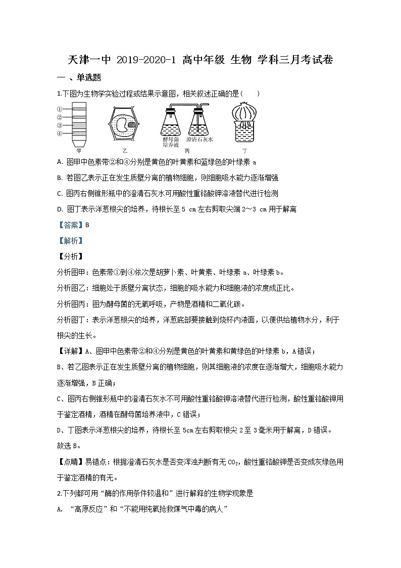 天津市一中2020届高三上学期第三次月考生物试题01