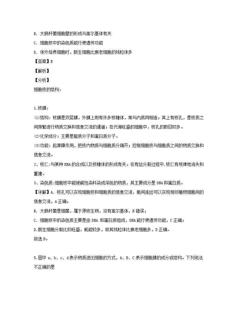 重庆市一中2020届高三（10月）月考理综生物试题03