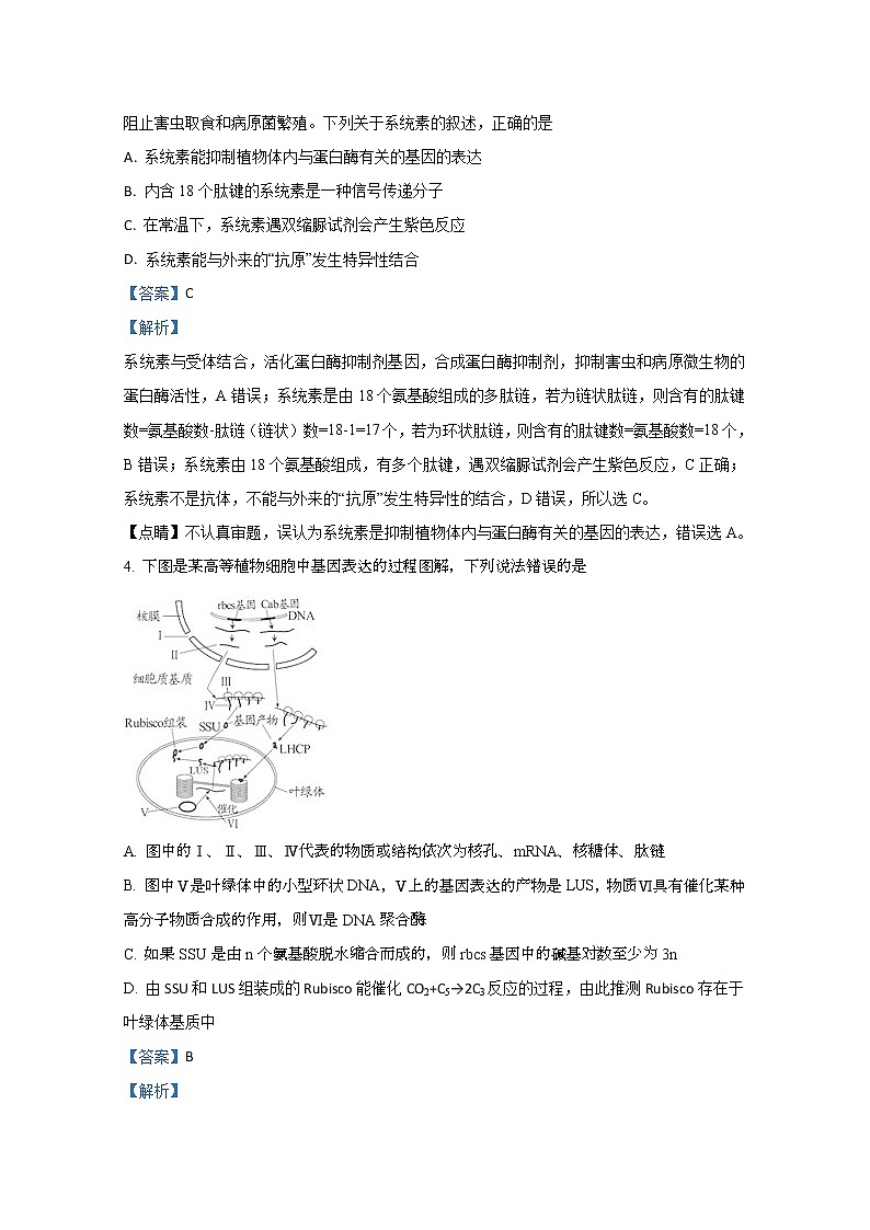 天津市静海区一中2020届高三下学期第一次月考生物试题03