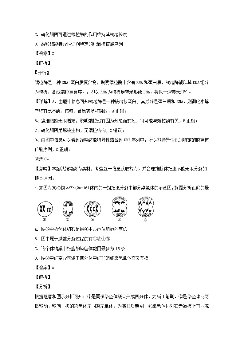 重庆市巴蜀中学2020届高三高考适应性月考(五)生物试题03