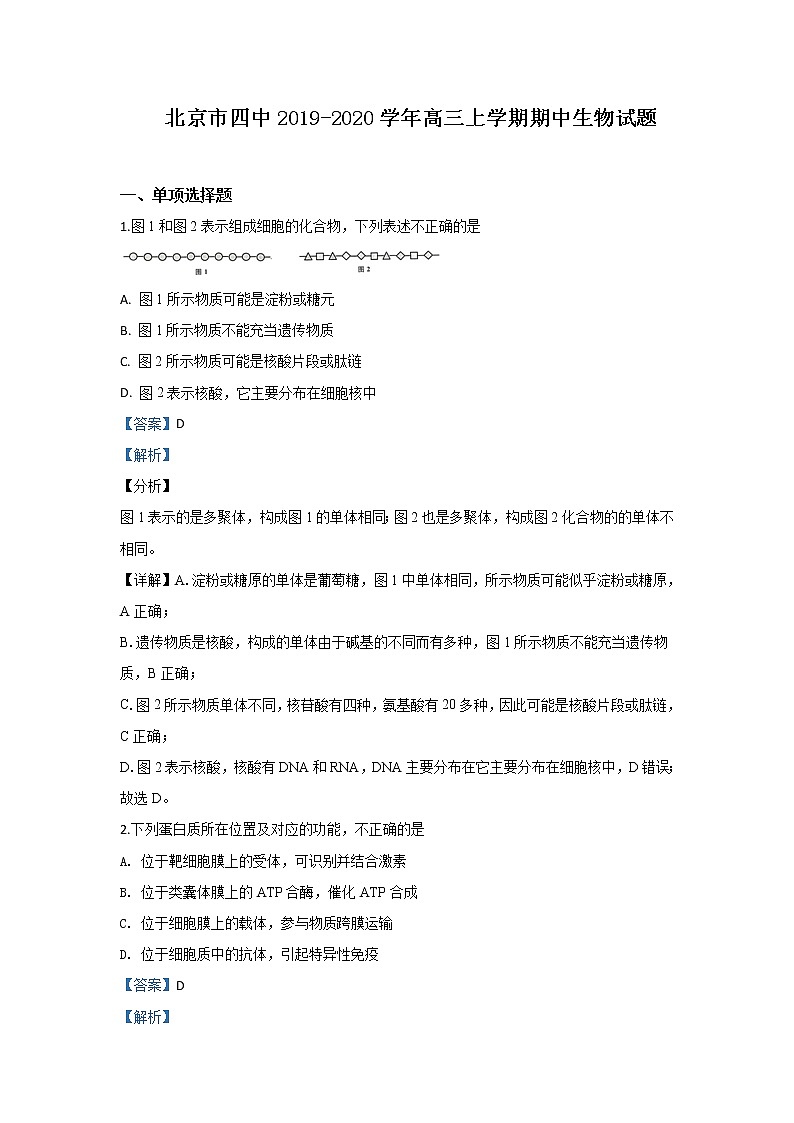 北京市四中2020届高三上学期期中考试生物试题01