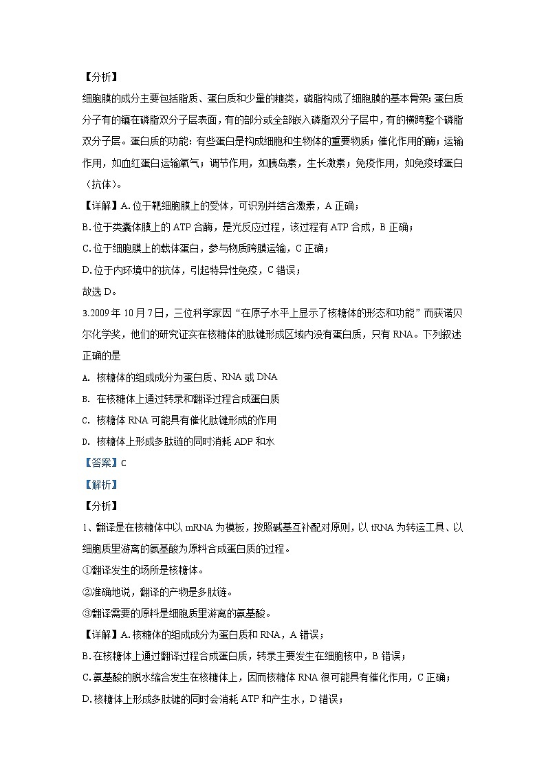 北京市四中2020届高三上学期期中考试生物试题02