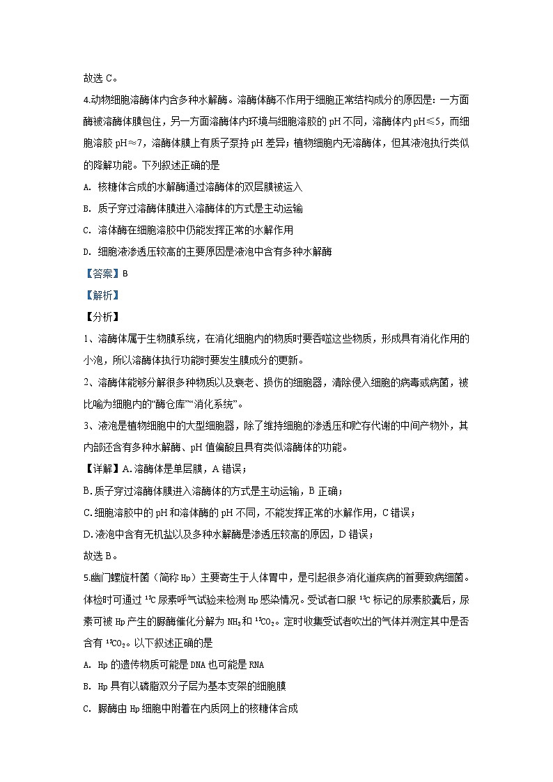 北京市四中2020届高三上学期期中考试生物试题03