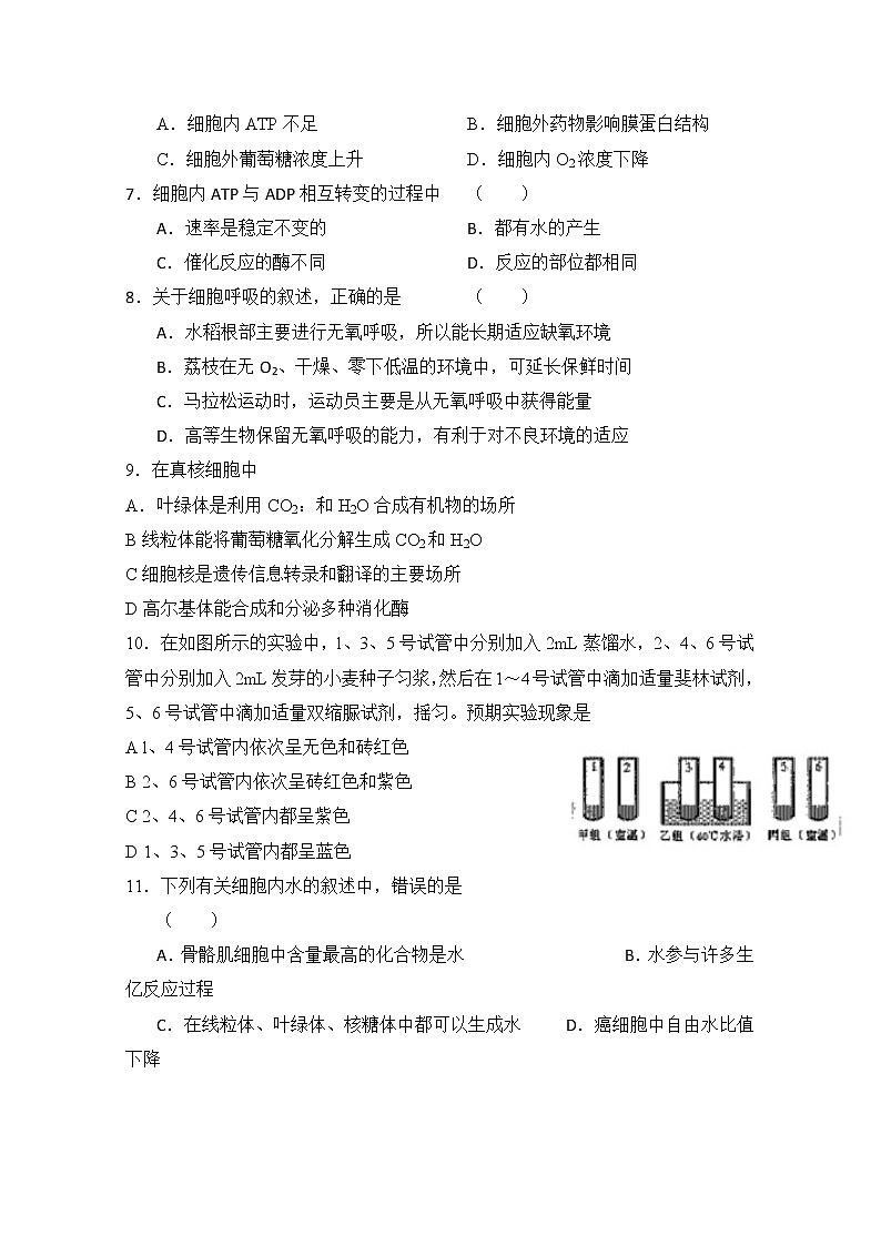福建省宁德市2020届高三上学期期中考试生物试题02