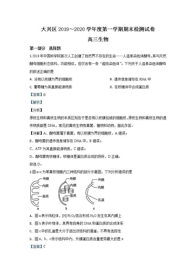 北京市大兴区2020届高三上学期期末考试生物试题01