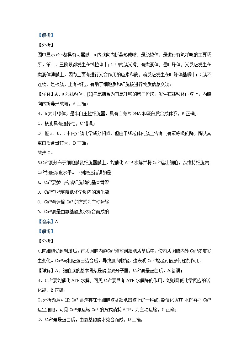 北京市大兴区2020届高三上学期期末考试生物试题02
