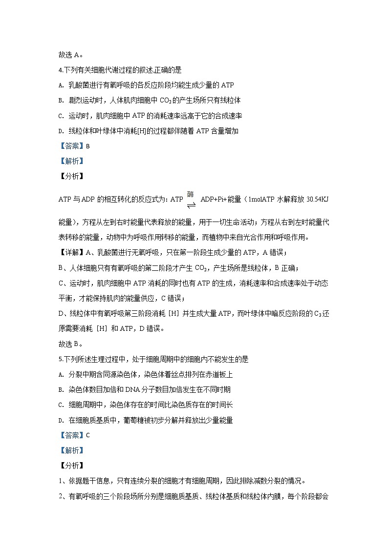 北京市大兴区2020届高三上学期期末考试生物试题03