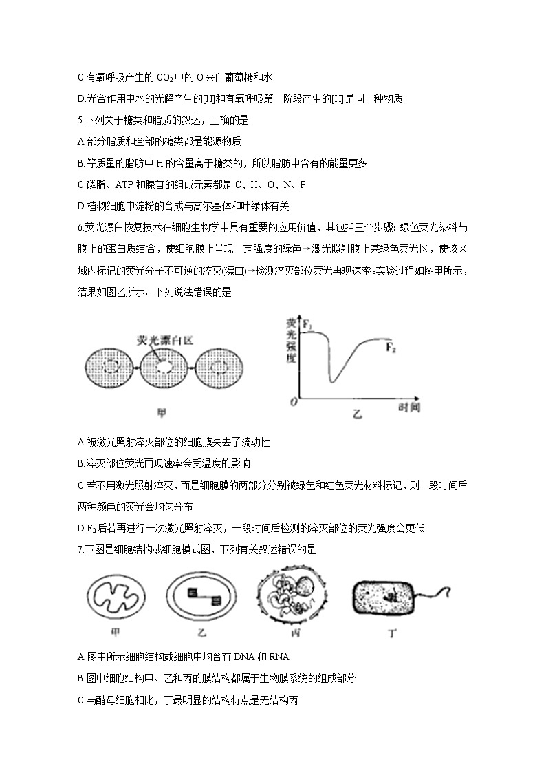 山东省新高考备考监测2020届高三10月联考试题 生物第2页